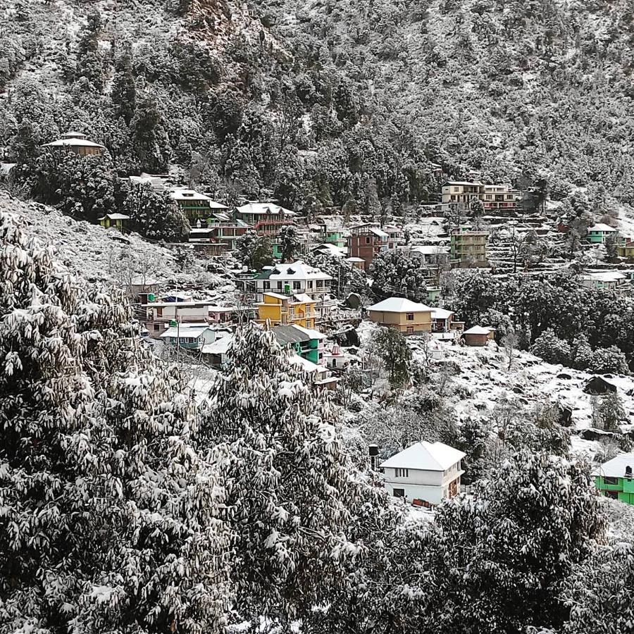 The Unmad, Dharamkot Hotell Dharamshala Exteriör bild