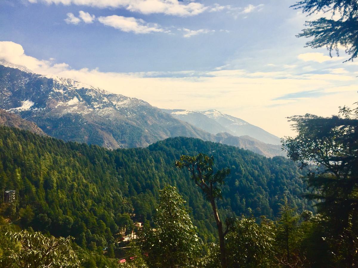 The Unmad, Dharamkot Hotell Dharamshala Exteriör bild